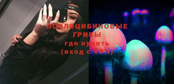 индика Алексин