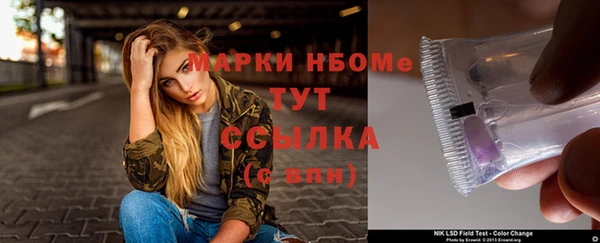 индика Алексин