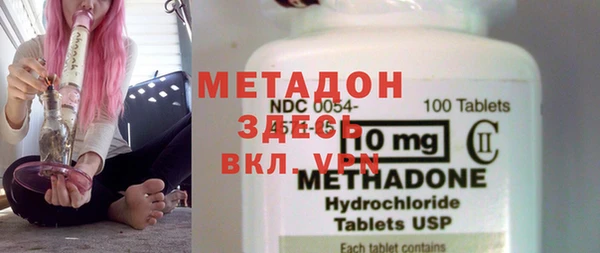 индика Алексин