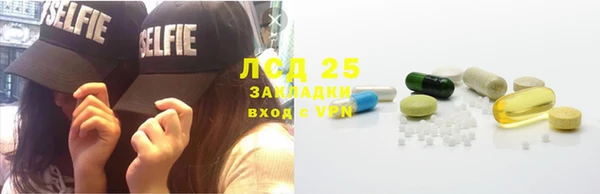 гидра Алексеевка