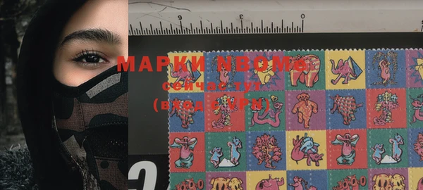 индика Алексин