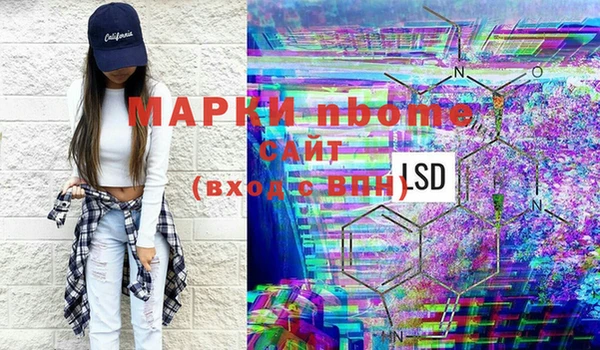 индика Алексин