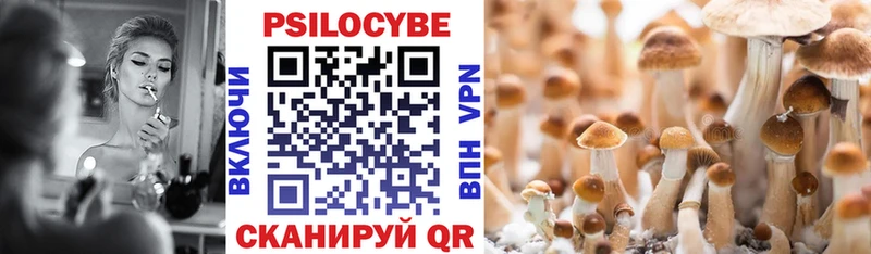 Галлюциногенные грибы Psilocybe  Родники 