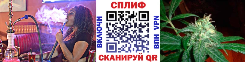 где купить наркотик  Родники  Каннабис THC 21% 